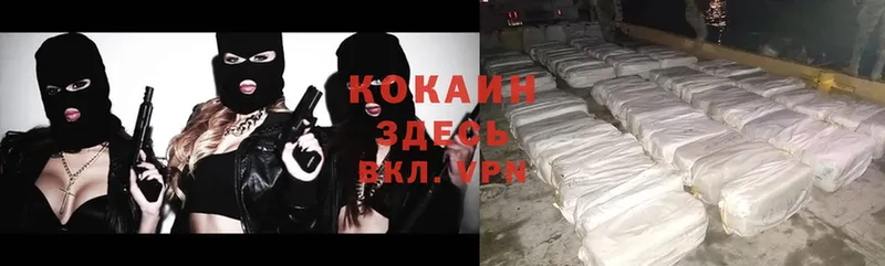 купить  цена  Камышин  Cocaine Эквадор 